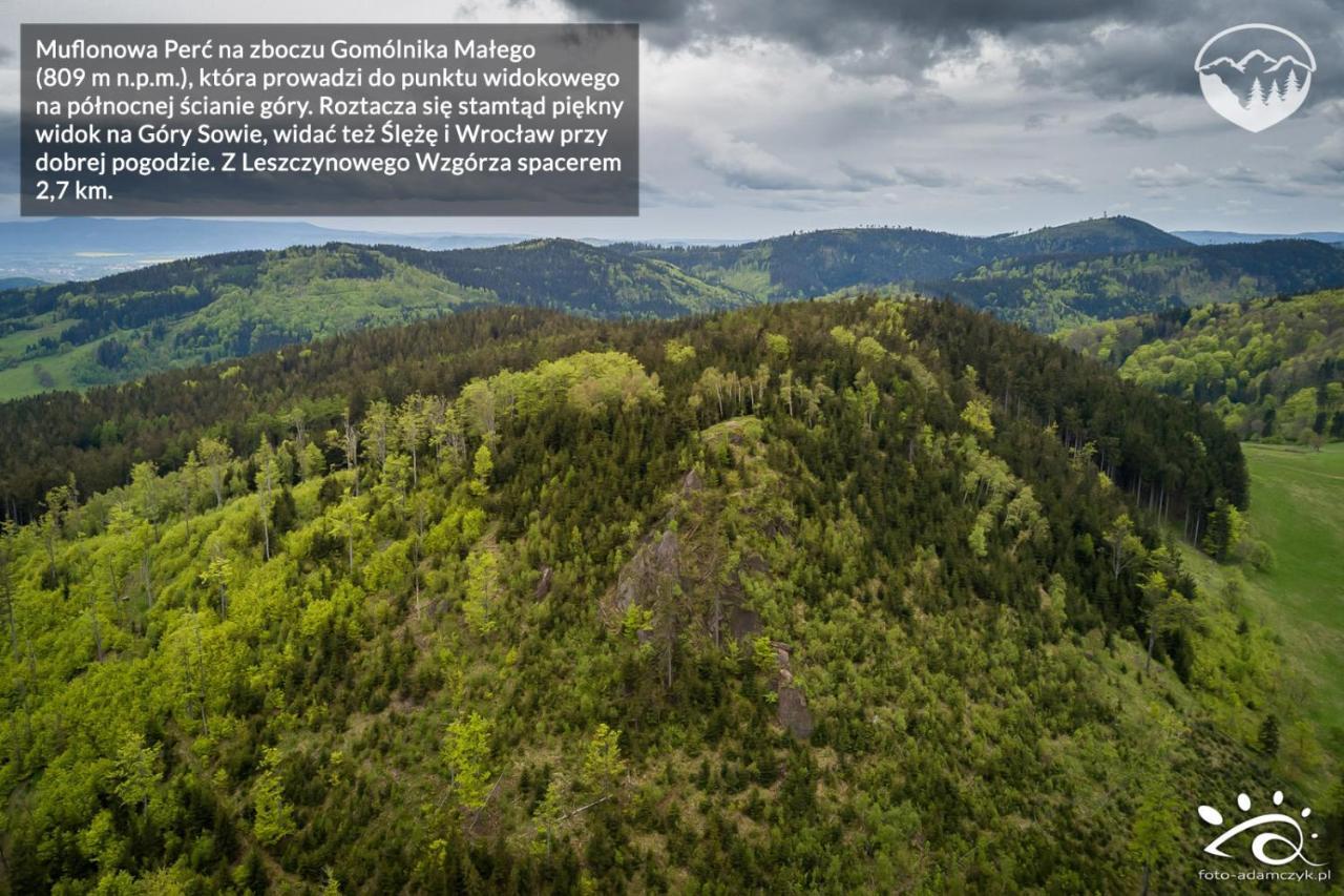 Agroturystyka Leszczynowe Wzgorze Gluszyca Exterior photo